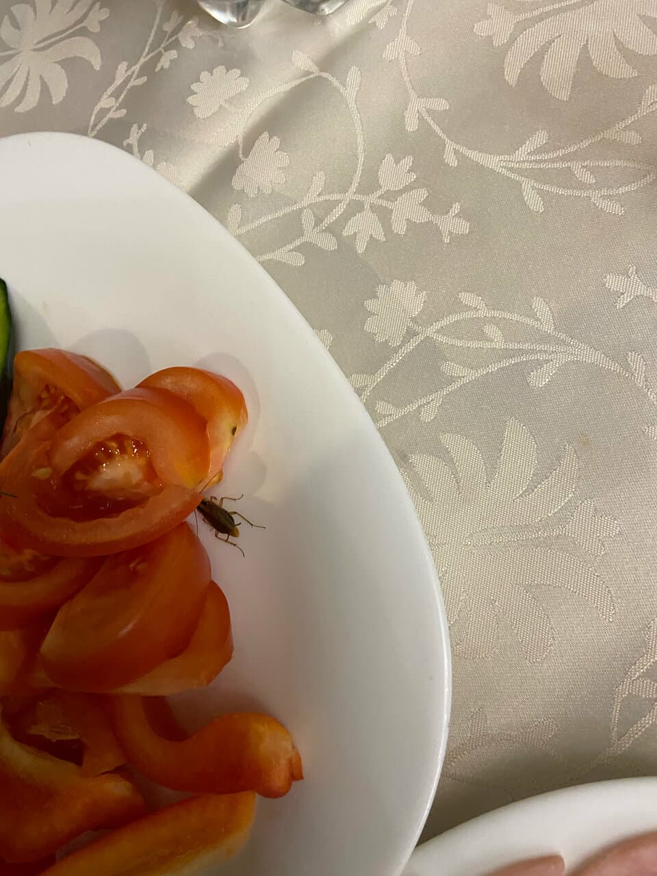 Пан Бровар