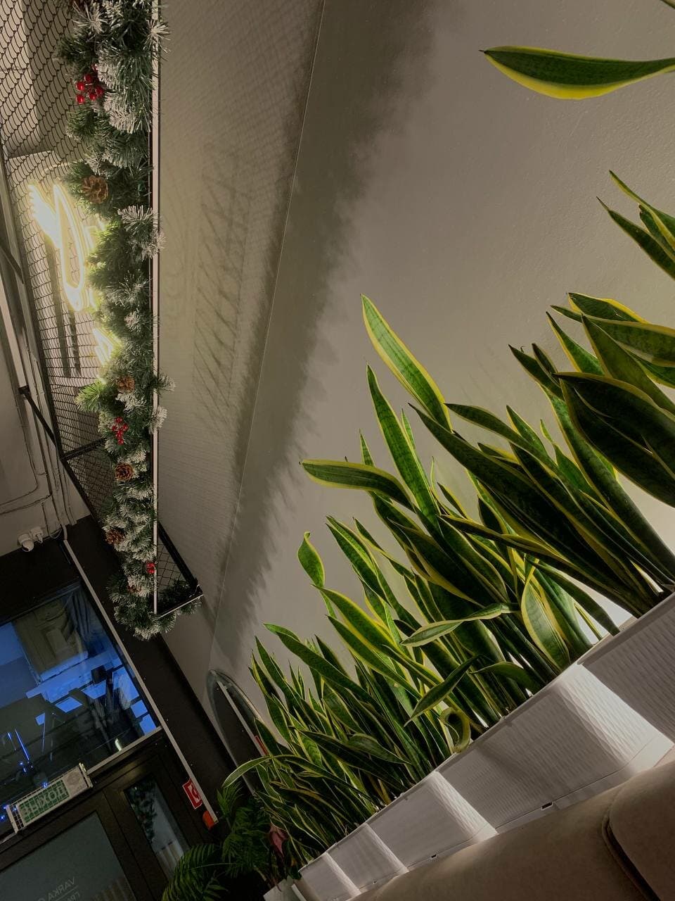 Varka