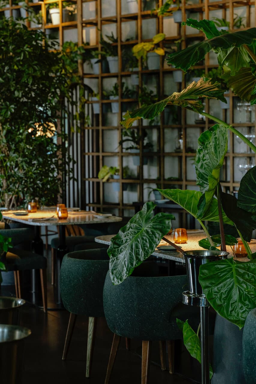 Bloom Eatery