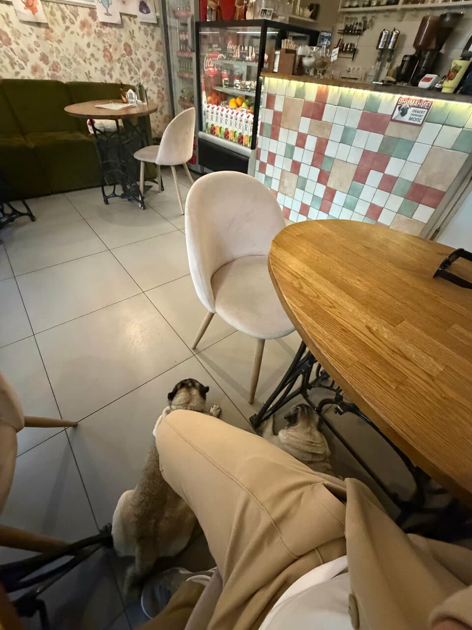 Литл Мопс