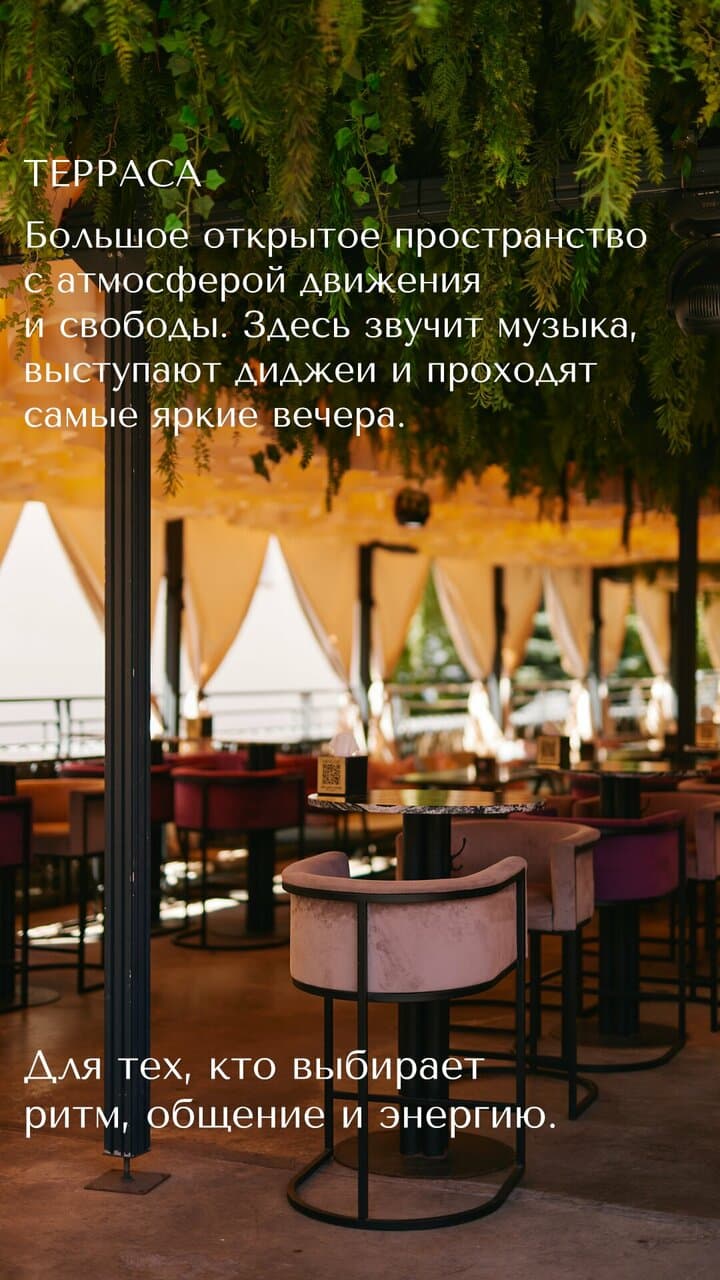 Чайный Пьяница