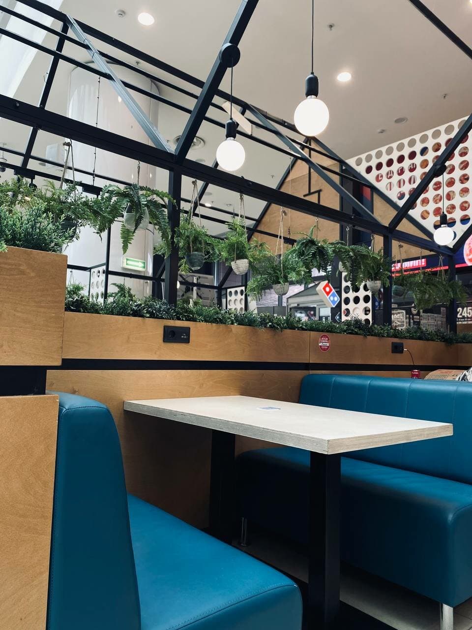 Domino’s Pizza