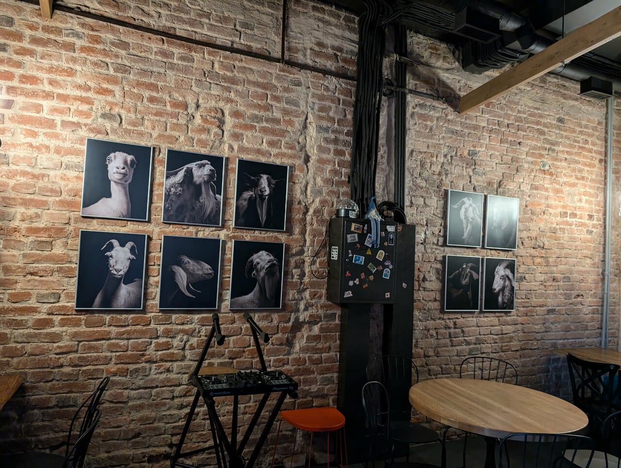 Синяя коза